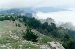 Ялта закрыта облаками
