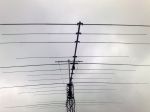 5710.jpg