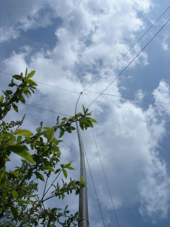 DSC06542