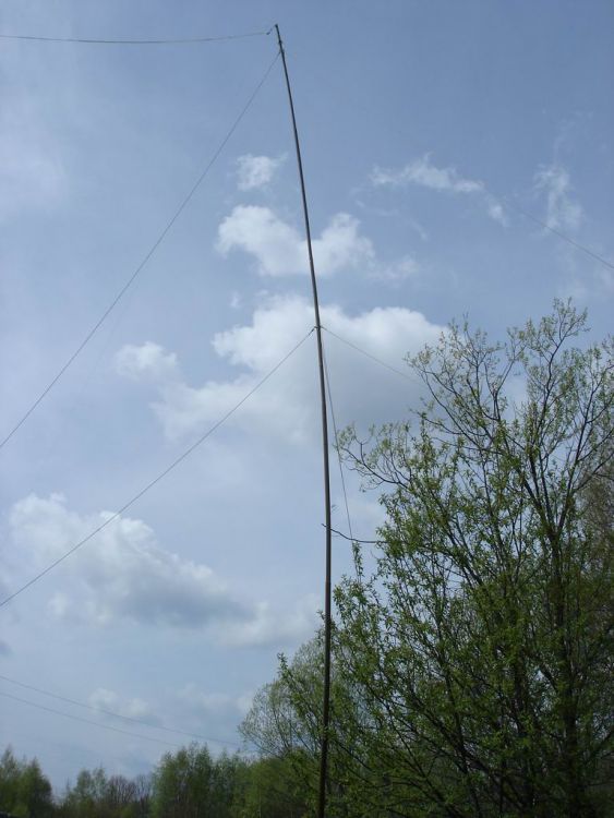 DSC06544