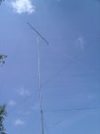 IMGP00971.JPG