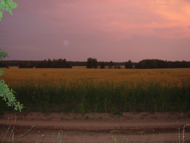 DSCN0172_new