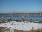 IMG_1646_.JPG