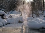 IMG_1901_.JPG