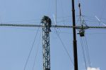 IMG_9372_1.JPG