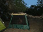 IMG_05521.JPG