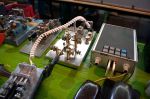 DSC01544-1.jpg