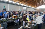 DSC01573-1.jpg