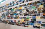 DSC01819-1.jpg