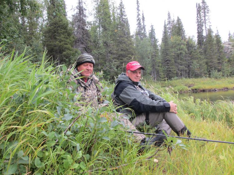 �������� �����