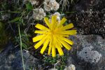 DSC05656.JPG