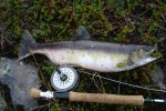 DSC059131.JPG