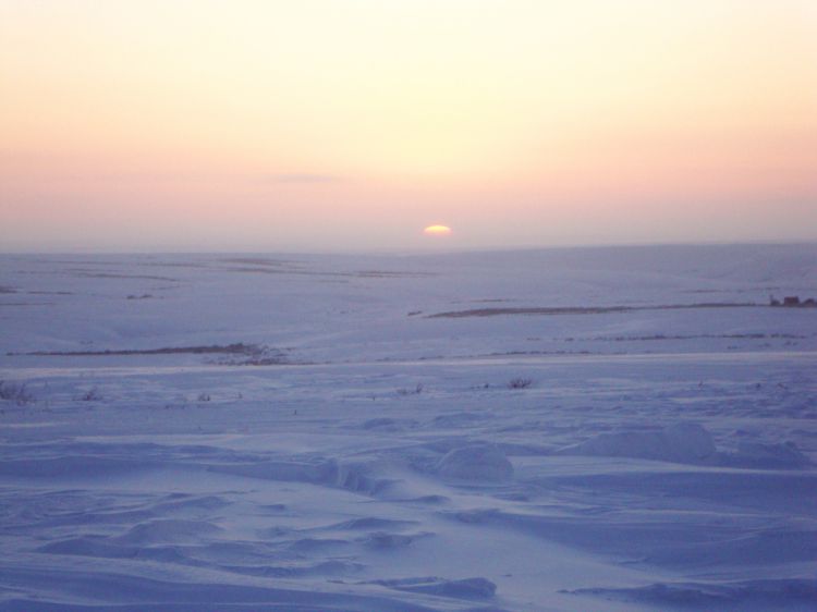 DSC07085