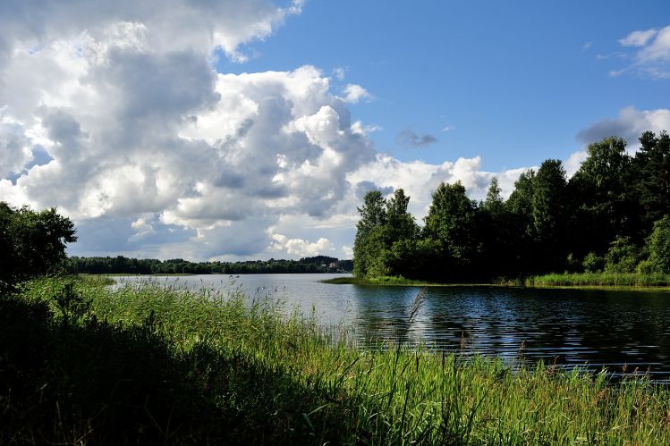    2013