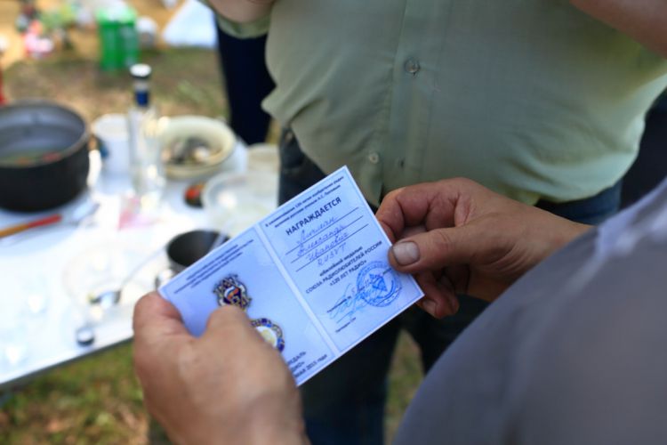   &quot; 2015&quot;