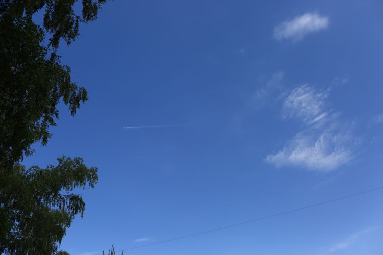   &quot; 2015&quot;