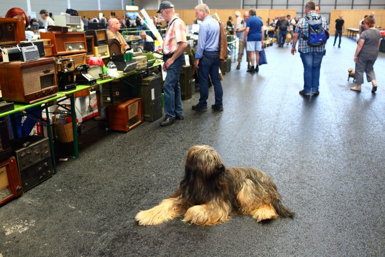 Friedrichshafen - Ham Radio 2015