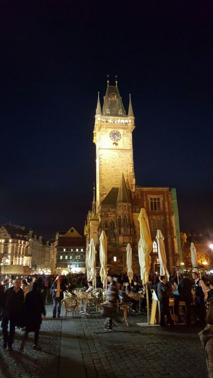 image-10-11-15-07-46-6