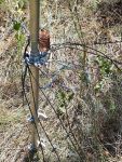 20170718_122457.jpg
