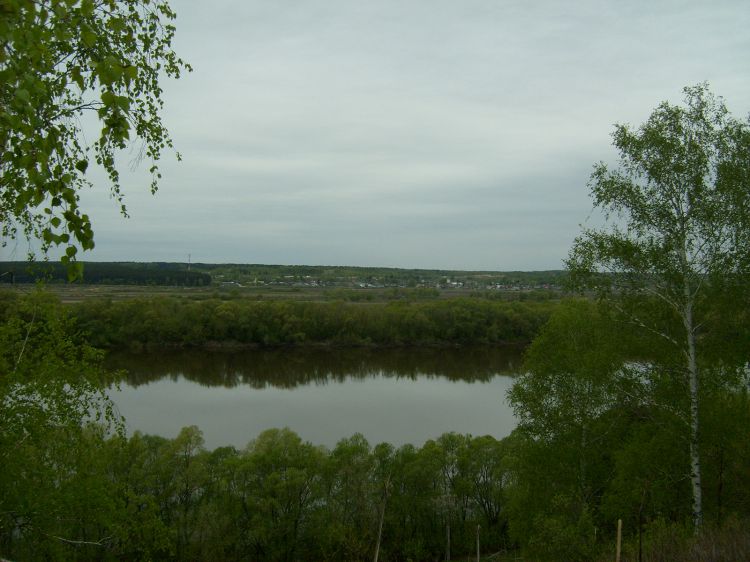 S6302259_2