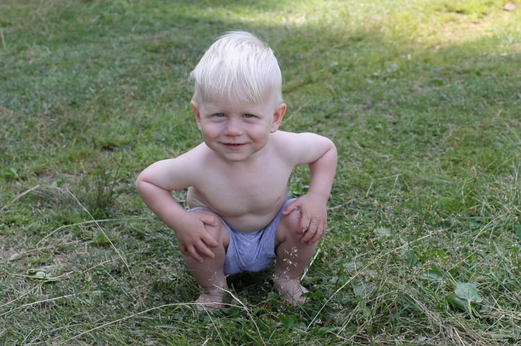 ���� ��������������