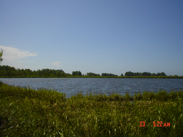 Dsc00007B