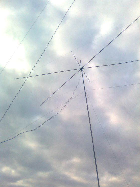 Moxon