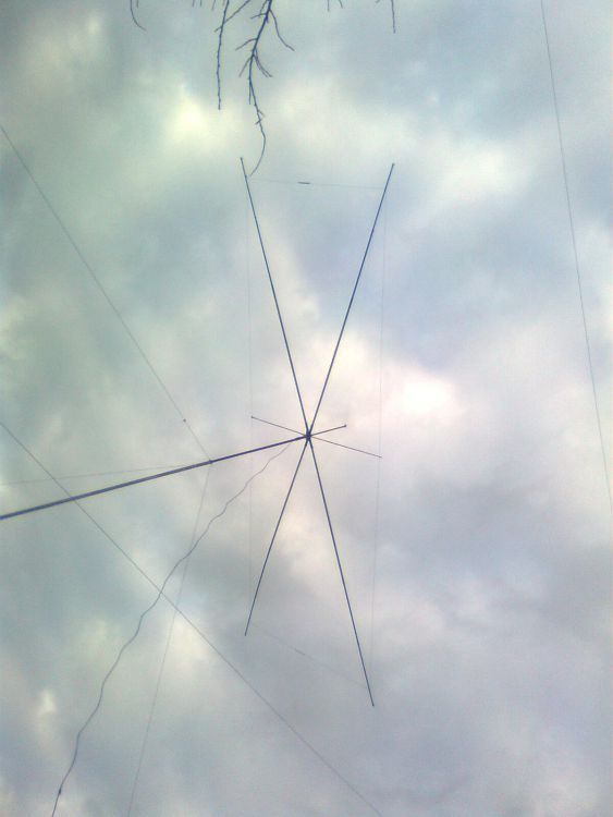 Moxon