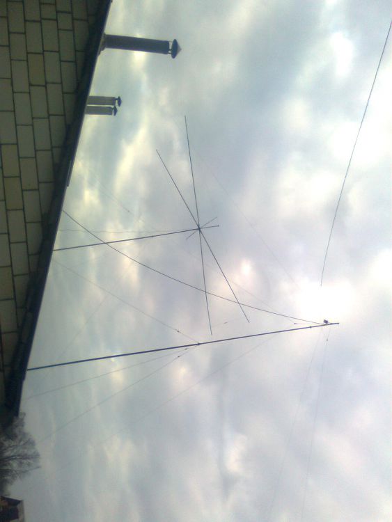 Moxon