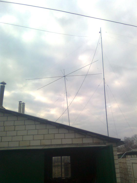 Moxon