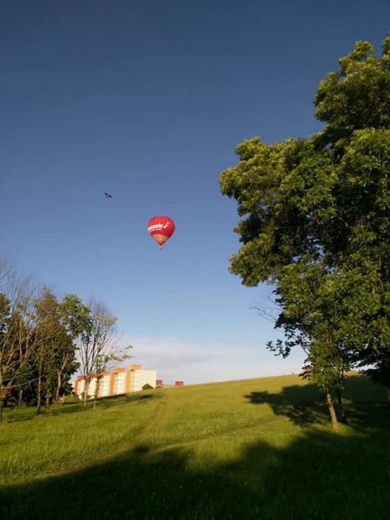 201173418_512077373575940_3041425075005947461_n