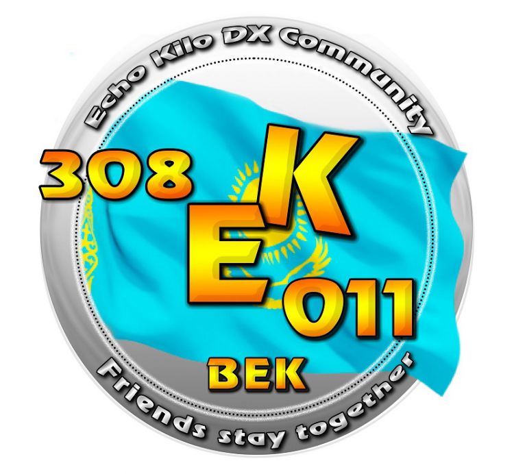 308EK011