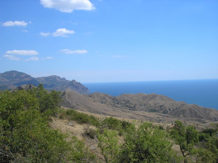    2007