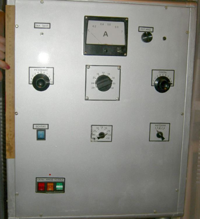  81