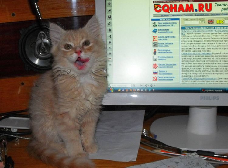 Cqham