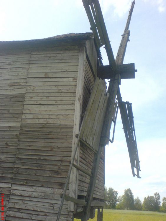 DSC00774
