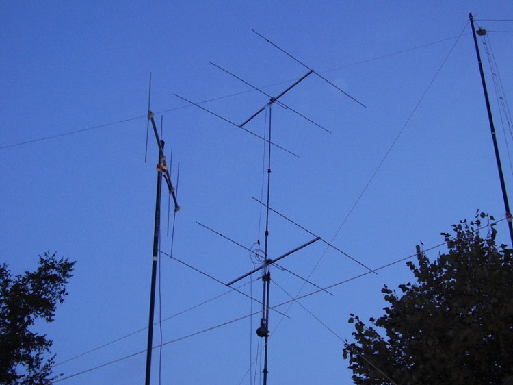 EXP_ANT_2005