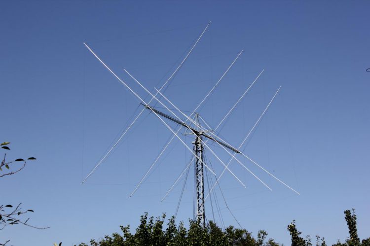 RZ6DR