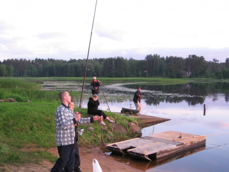 CQ-ES - 2007