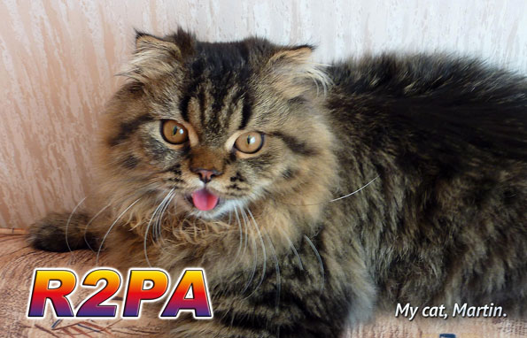 r2pa_f