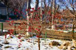 2010_0308_014_4.jpg