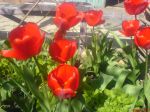 DSC00357.JPG