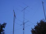 EXP_ANT_2005.JPG