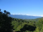 IMG_0069_2_.JPG