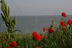 IMG_6829.JPG