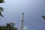 IMG_9313_1280x853.JPG