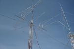 P1000807.JPG