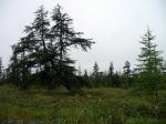 P1010444.JPG
