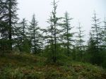 P1010450.JPG