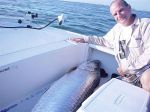 Riley_s-tarpon-004.jpg